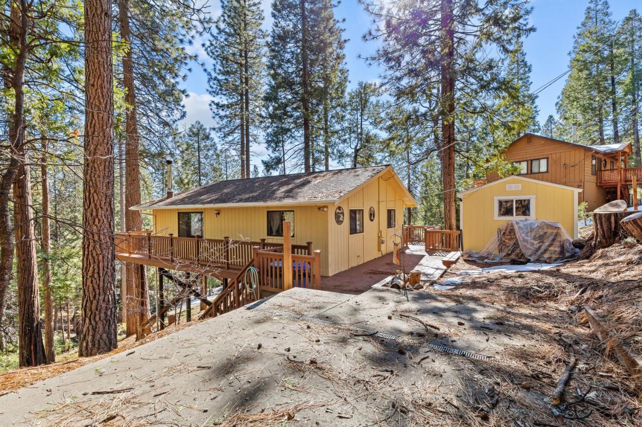 Big Trees, Little Cabin أرنولد المظهر الخارجي الصورة